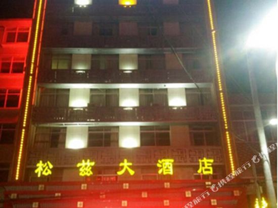 宿松松兹大酒店