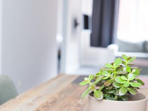 Smartflats City Saint Gangulphe Liege Price Address Reviews