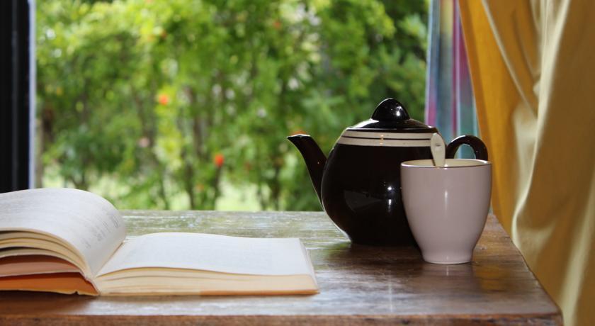 Il Cielo Bio - Il più Piccolo B&B del Chianti-官方