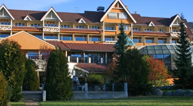 瓦尔德斯斯堪迪克酒店-官方