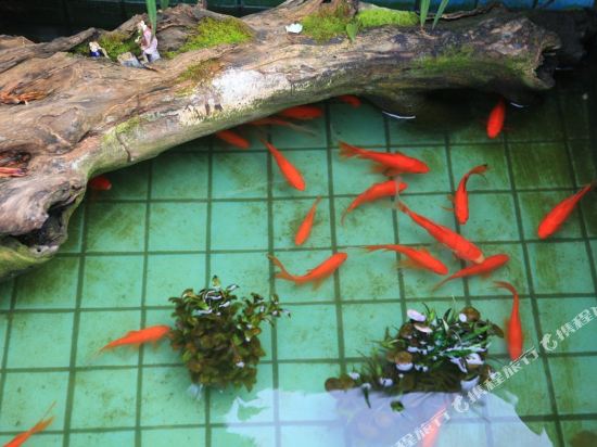 杭州濂溪雅居客栈