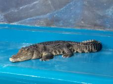 郑州海洋馆-郑州-YoYo_4R5V1B5T