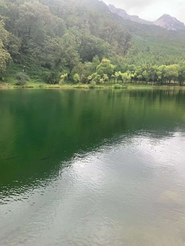 丽江玉水寨风景区旅行图片 4