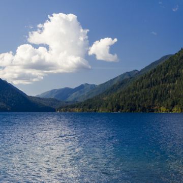 【中文包车】西雅图+飓风岭+月牙泉+奥林匹克国家公园一日游