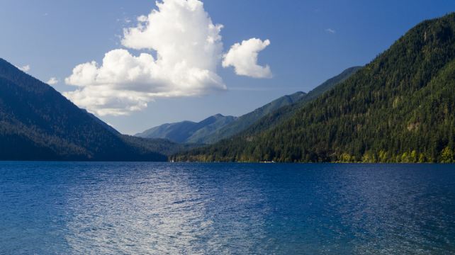 2-Day Seattle Tour·Olympic National Park and Free Day (Optional Mount Rainier / Snoqualmie Falls / Vancouver City Tour / Seattle City Tour) | Hotel with Breakfast