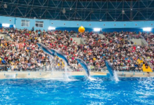 泉城欧乐堡海洋极地世界景点图片