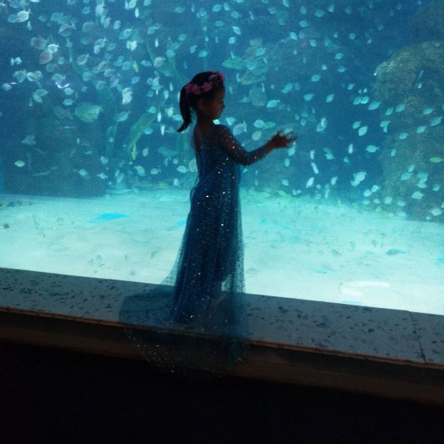 邯郸·海洋世界旅行图片 3