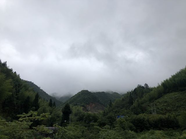 桂东植物园旅行图片 1