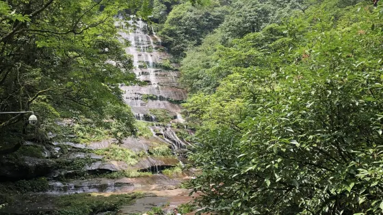 蝴蝶灘