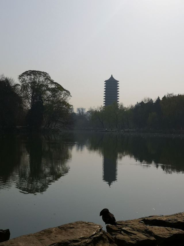 未名湖旅行图片 3