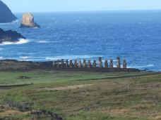 复活节岛-复活节岛-一只胖腊肠