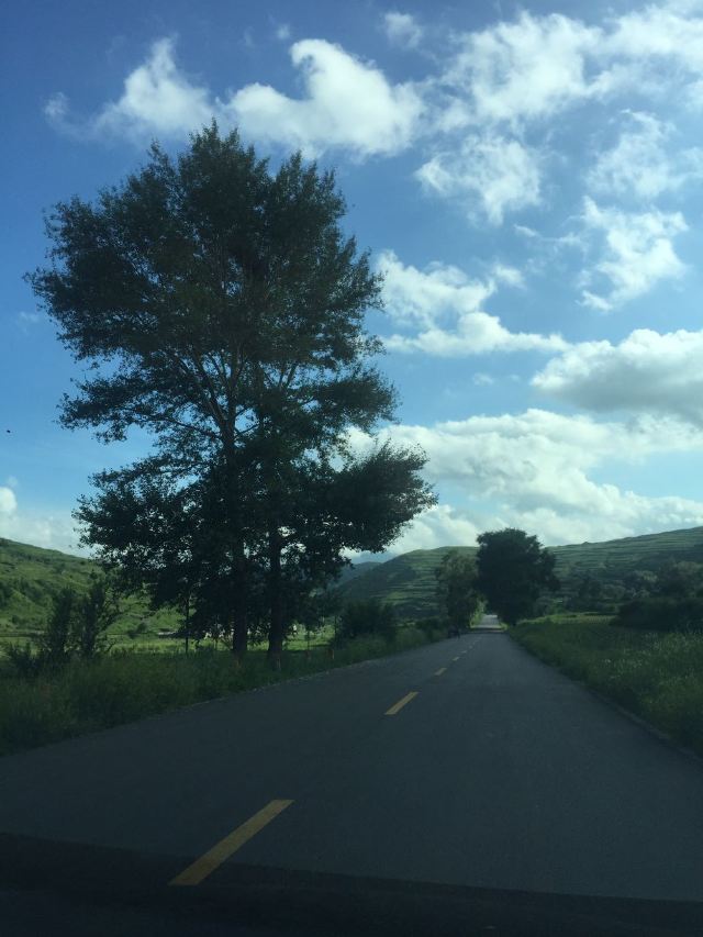小天桥森林公园旅行图片 2