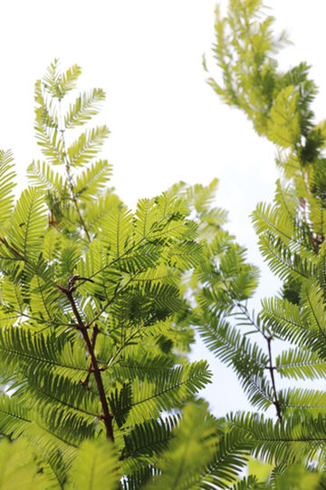 你们要的海子山照片都在这了