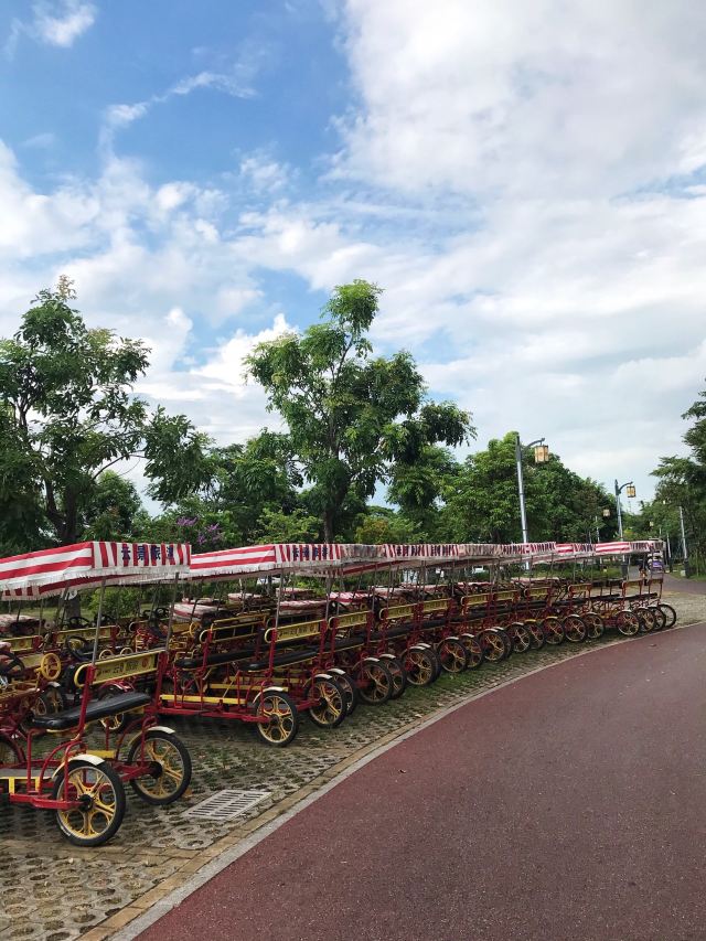华阳湖国家湿地公园旅行图片 7