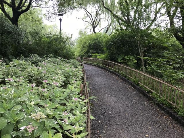 新江湾城公园旅行图片 7