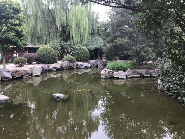 双秀公园旅行图片 13