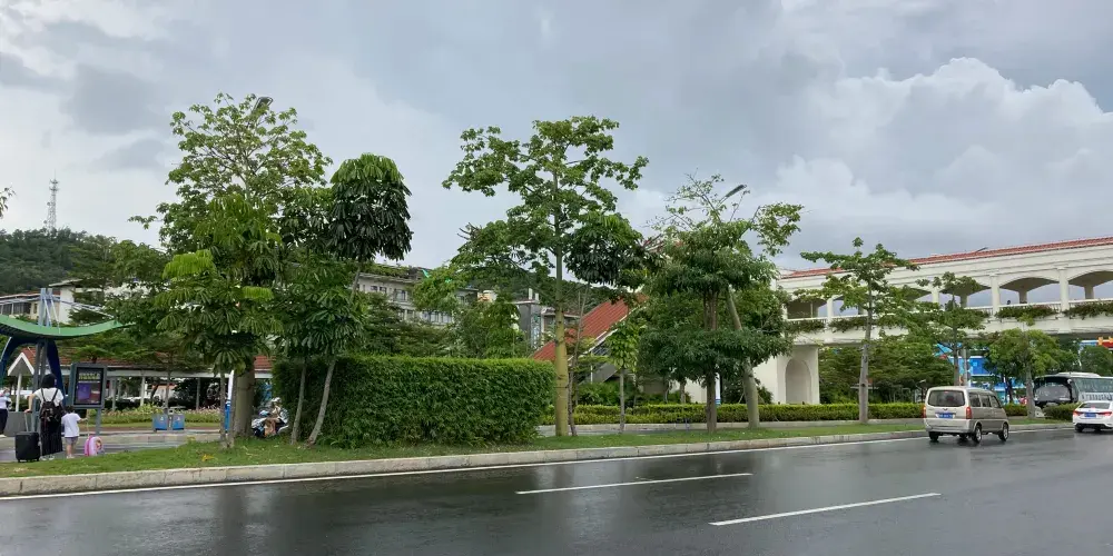 永安旅遊