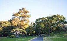 悉尼皇家植物园-悉尼-zhulei831230