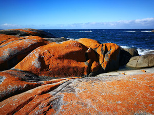 塔斯马尼亚游记图文-自驾塔斯马尼亚