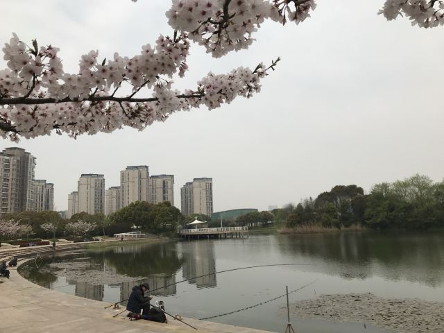 新江湾城公园旅行图片 7