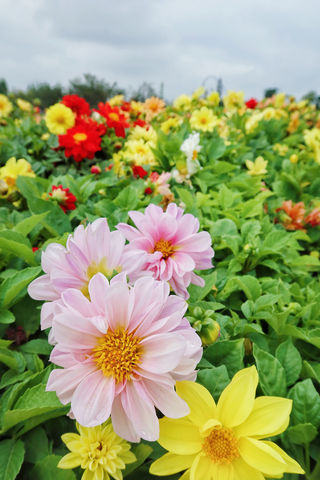 到古滇精品湿地赏风景、品美食、体验户外运动