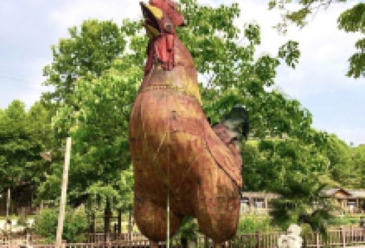 丫山林场景点图片