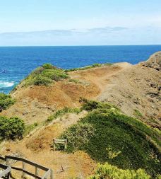 Mornington Peninsula National Park-Flinders-zhulei831230
