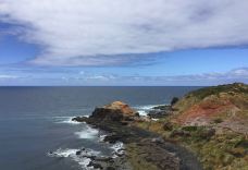 Mornington Peninsula National Park-Flinders-小小呆60