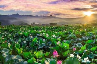 “铁路+”|建宁金铙山之旅,专线直达