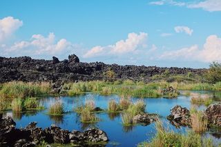 如何4天游遍黑河