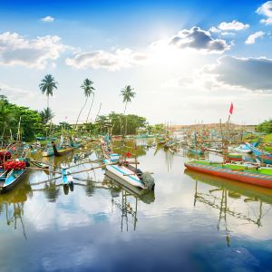Galle