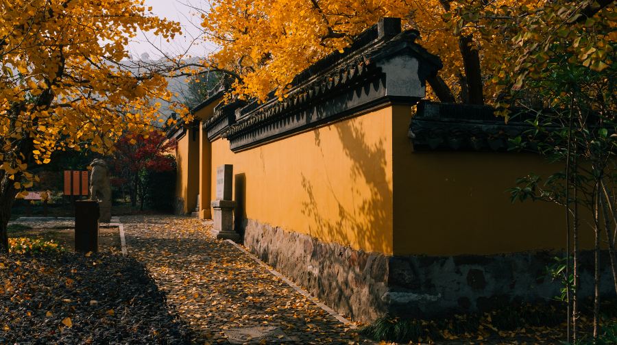 紫金庵