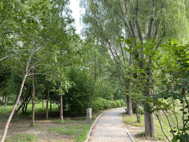 仰山公园旅行图片 3