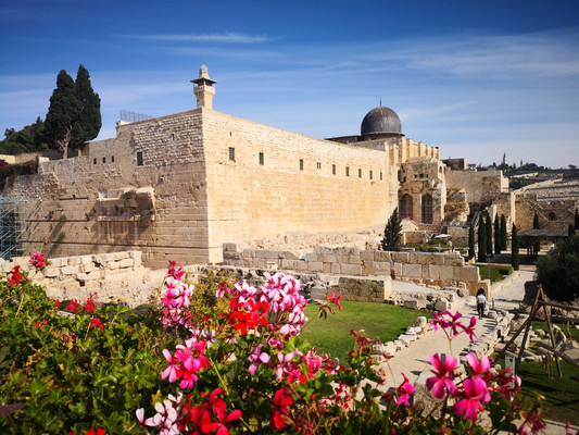 大兵绿草2019年冬以色列、约旦自由行游记（8）——耶路撒冷（下）