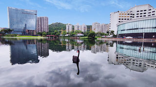 台风天去哪儿?珠海新晋网红酒店珠海度假村酒店星海楼打卡游!