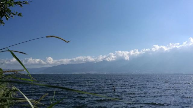 洱海月湿地公园旅行图片 3