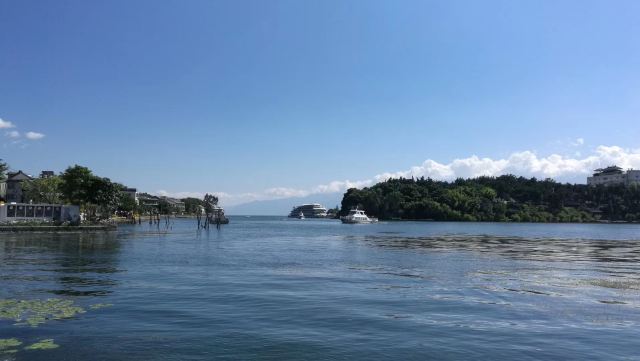 洱海月湿地公园旅行图片 2