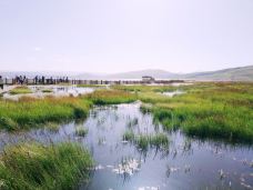 甘肃尕海则岔自然保护区-尕海湖-碌曲-M16****435