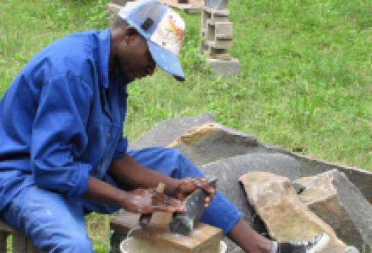 Franjipanji购物图片