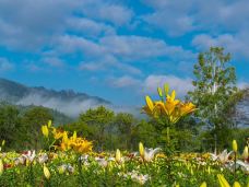 九峰山养心谷旅游度假区-伊春-YoYo_0P4Q6J3P