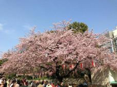 隅田公园-东京-泾县慕容垂