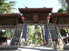 韩城文庙-韩城-大松树叶子