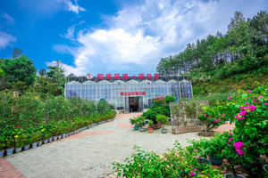 黄冈游记图文-湖北周边驱车2小时的赏花圣地，从夏天美到秋天，来了就不会失望