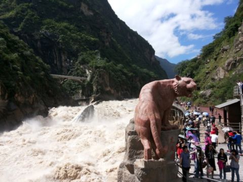 徒步虎跳峡必经高路终点卓玛客栈，小院周围布满绿植，食宿佳选