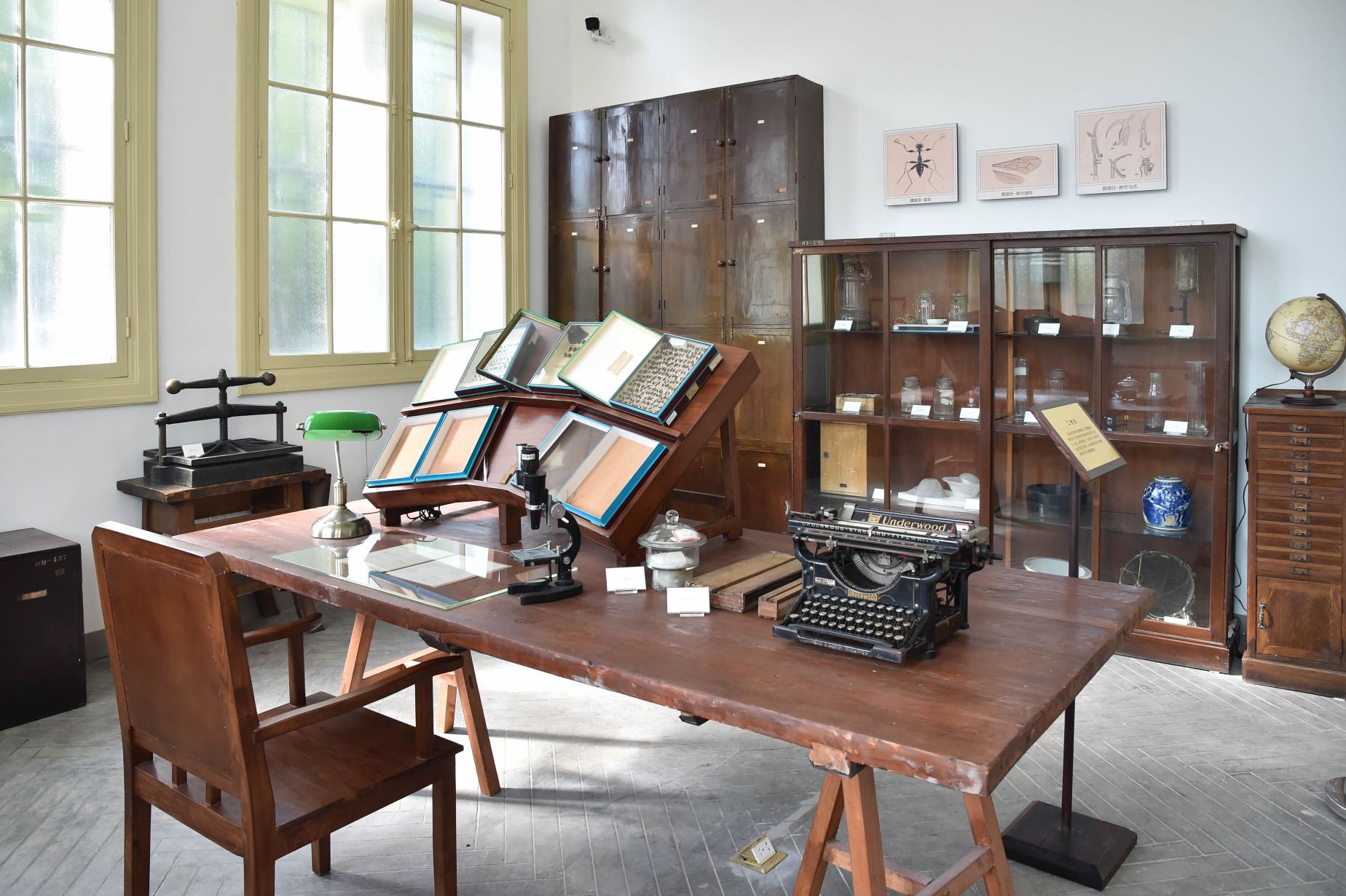 Gallery 3