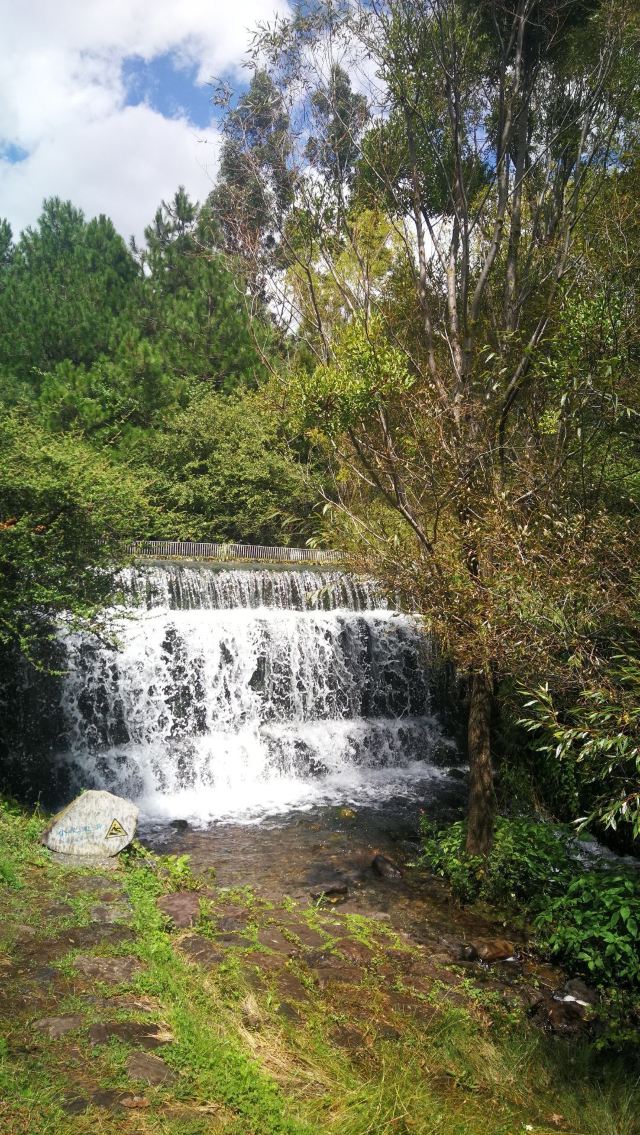 丽江玉水寨风景区旅行图片 2