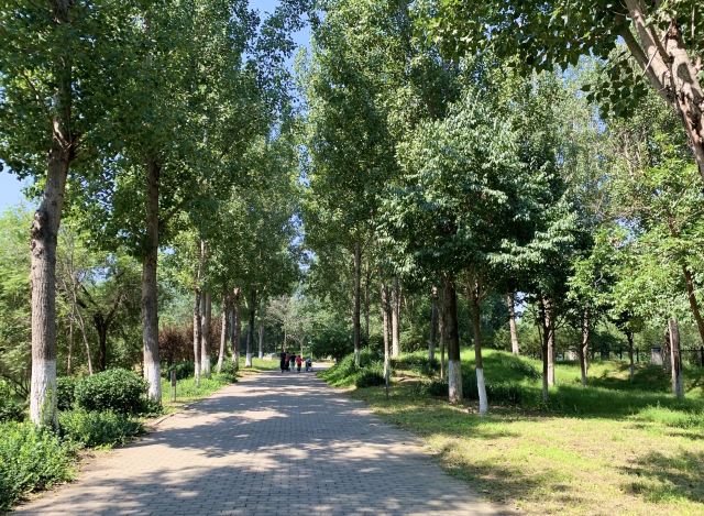 奥北森林公园二期北区旅行图片 3