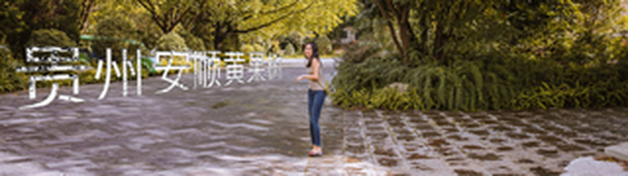 周末黄果树三天二晚度假游｜山航魔毯第一飞