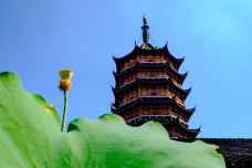 北塔报恩寺-苏州