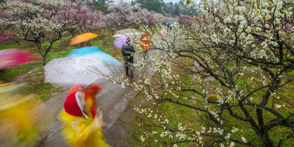 永安旅遊